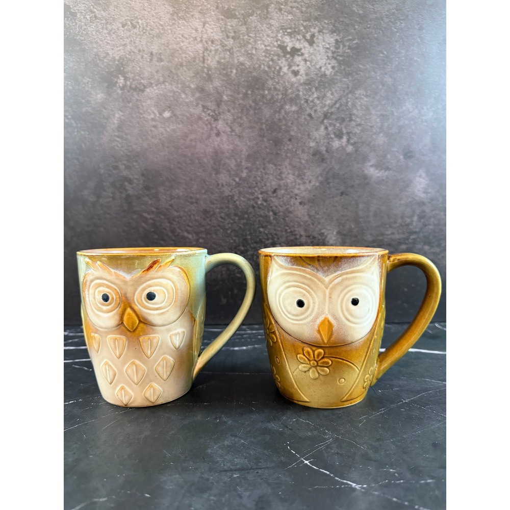 PAIR (2) Gibson Elite Couture Ceramic Coffee Mugs Owl Face 17oz 5x5in